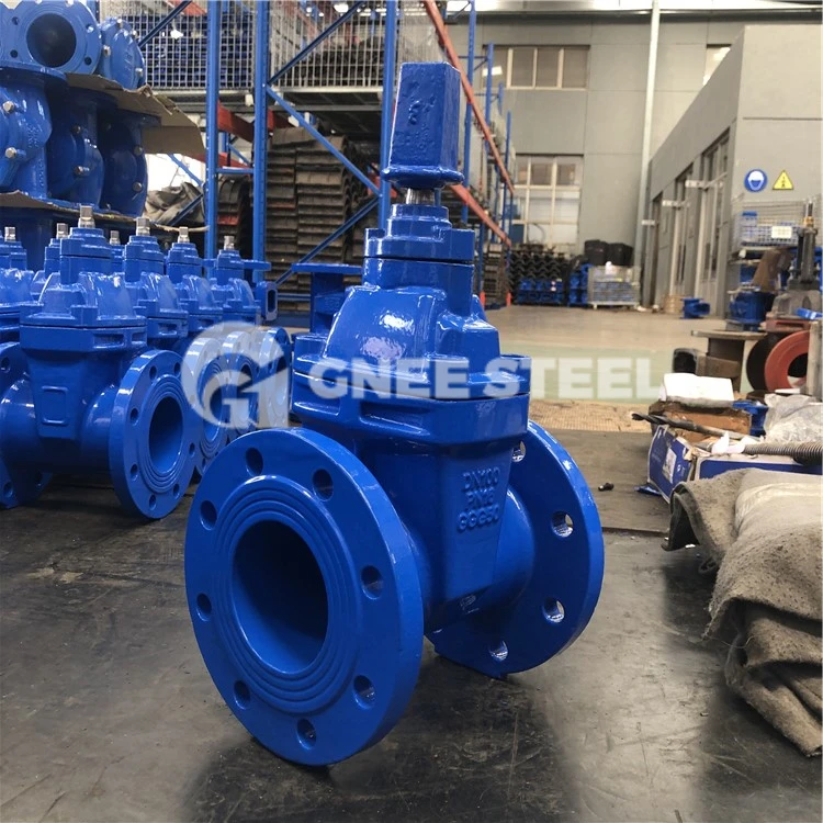 ci valve ci valve