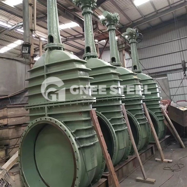 ci valve